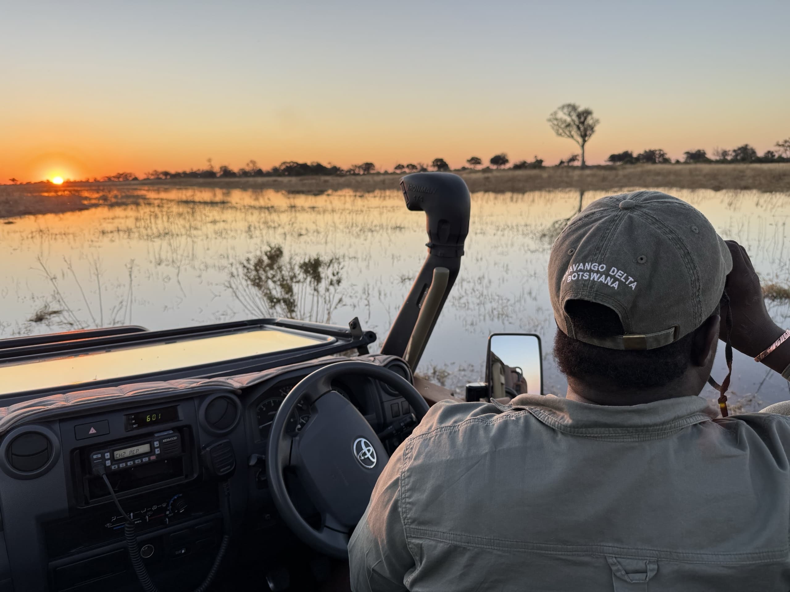 Guide watching a floodplain from the game drive vehicle at sunrise